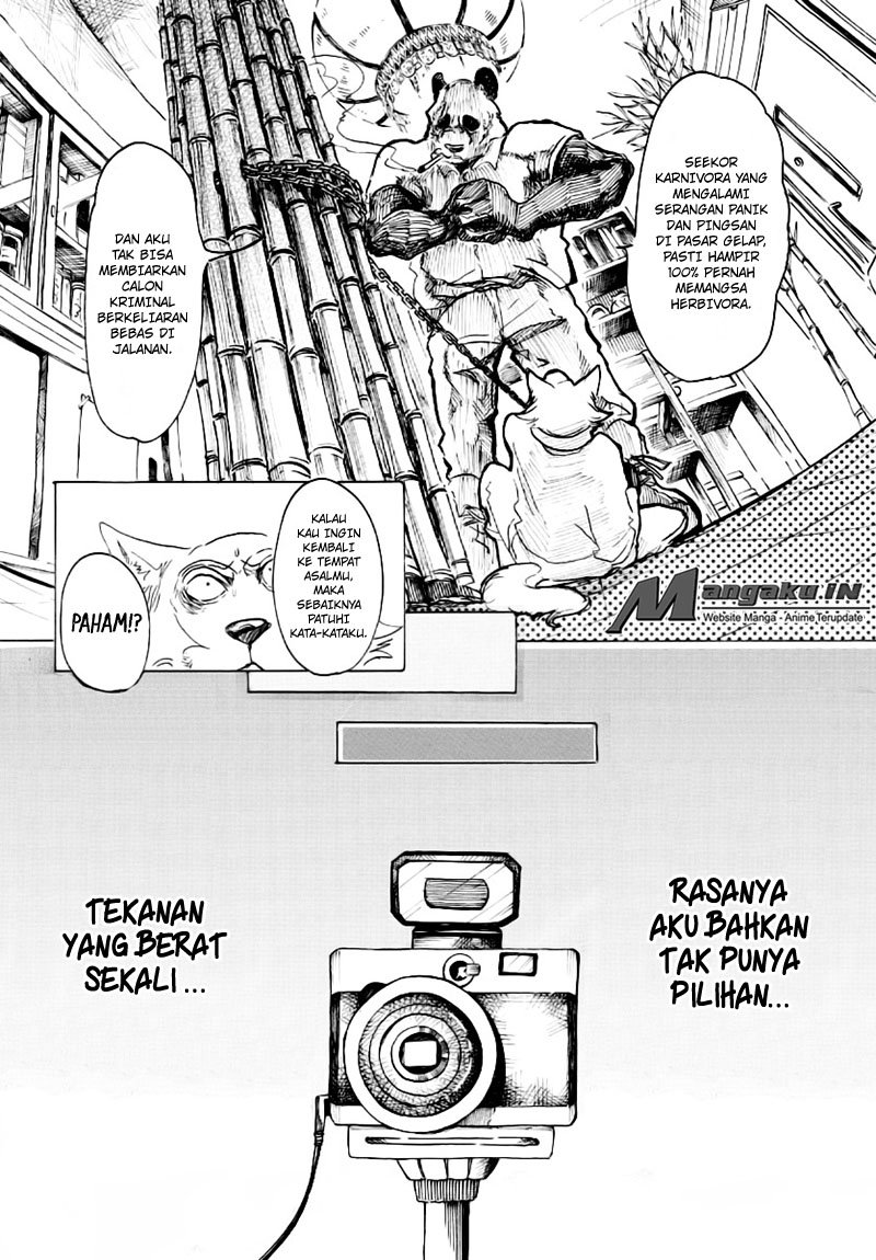 Dilarang COPAS - situs resmi www.mangacanblog.com - Komik beastars 024 - chapter 24 25 Indonesia beastars 024 - chapter 24 Terbaru 8|Baca Manga Komik Indonesia|Mangacan