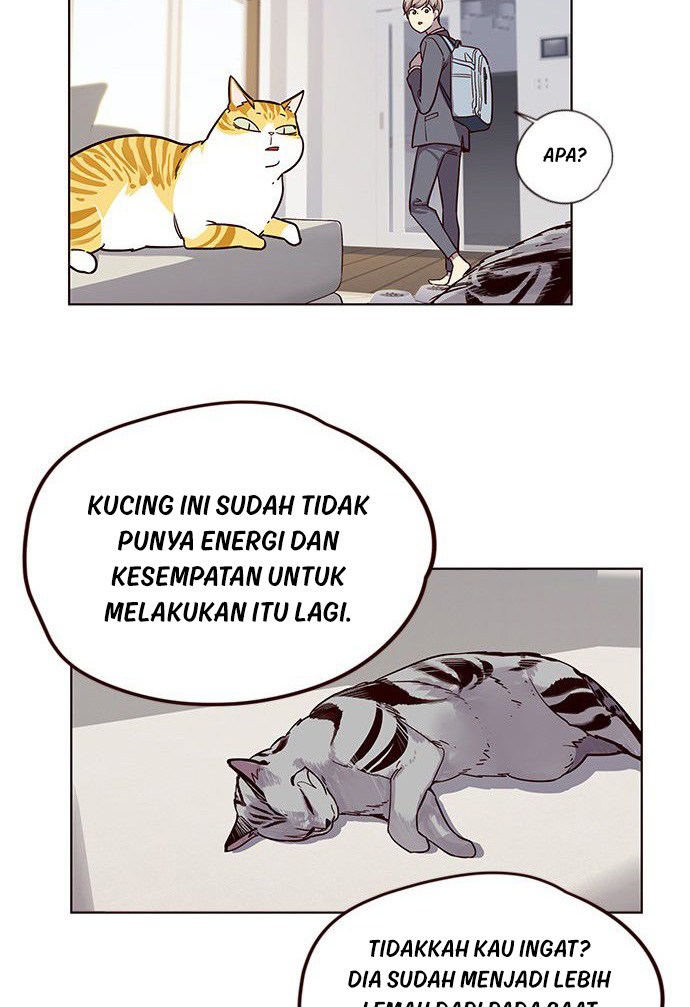 Dilarang COPAS - situs resmi www.mangacanblog.com - Komik eleceed 006 - chapter 6 7 Indonesia eleceed 006 - chapter 6 Terbaru 40|Baca Manga Komik Indonesia|Mangacan